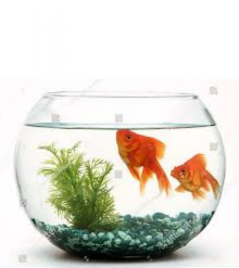 Home Decor Clear Transparent Round Fish Plastic Portable Fish Bowl
